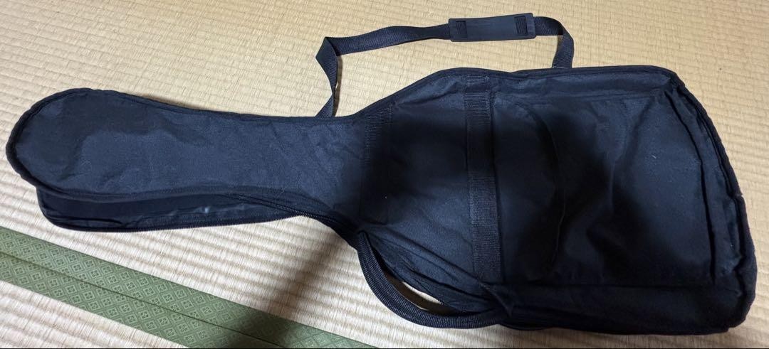 GrassRoots Electric Guitar Safe Packing!