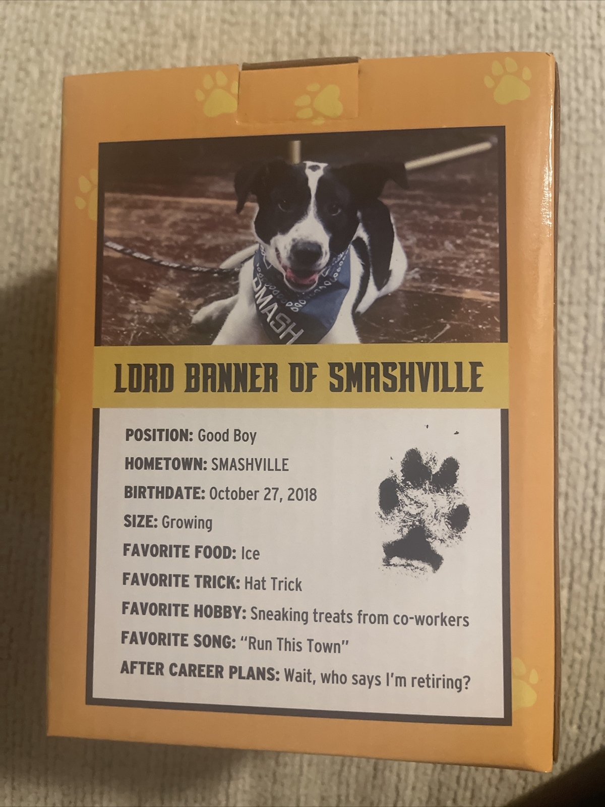 Nashville Predators Smash bobblehead Mascot Dog