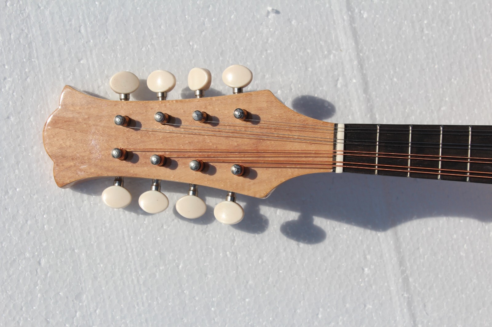 Bowl back Mandolin Solid Spruce Top Stringed instrument