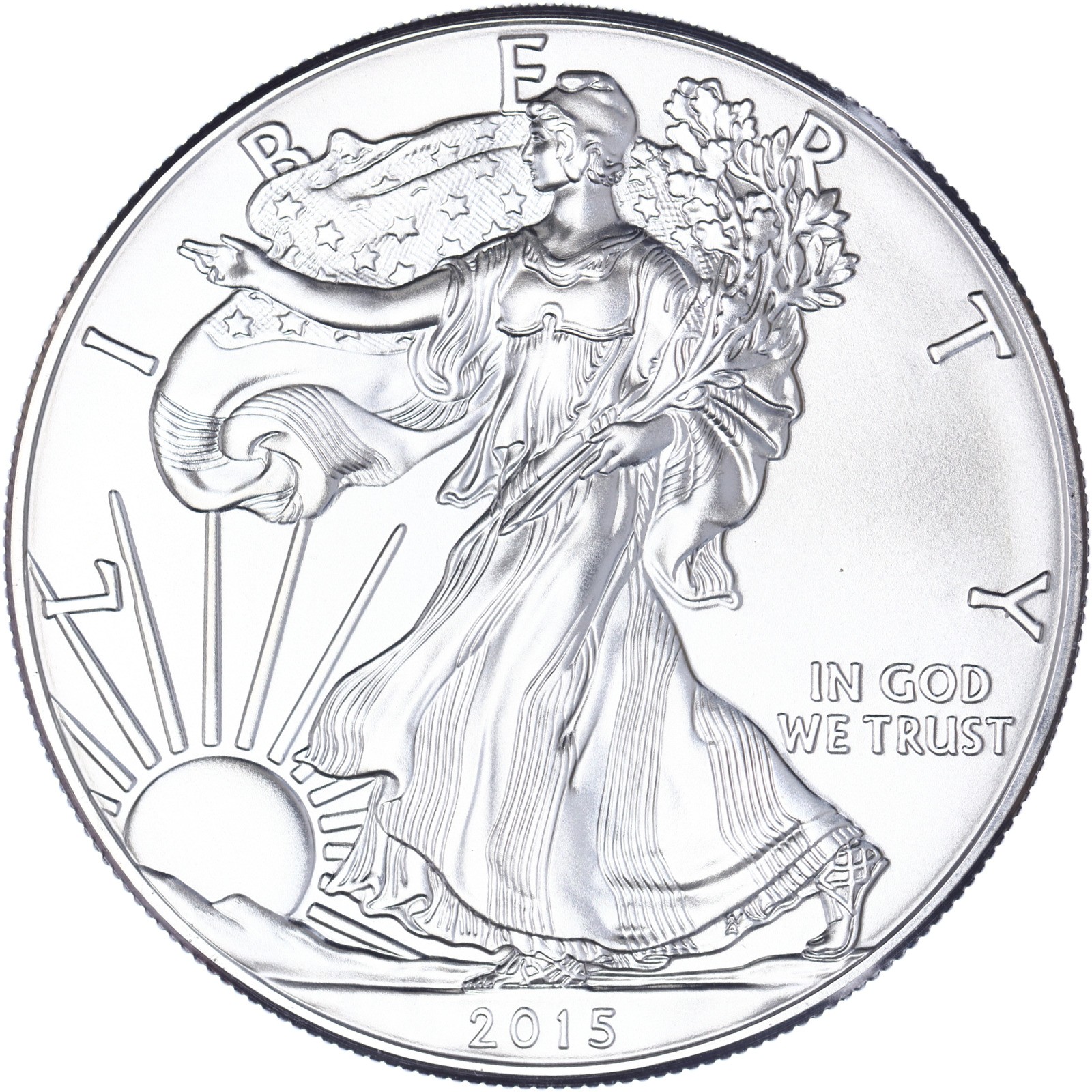 2015 American Silver Eagle 1 Oz Gem Brilliant Uncirculated Coin