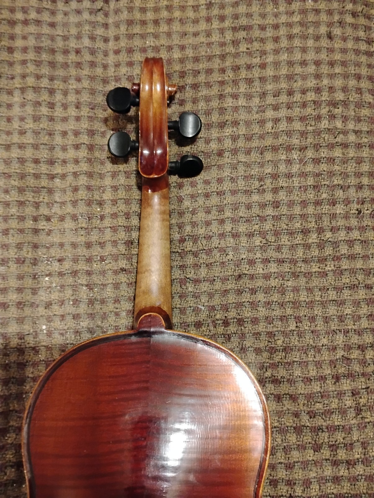 Violin