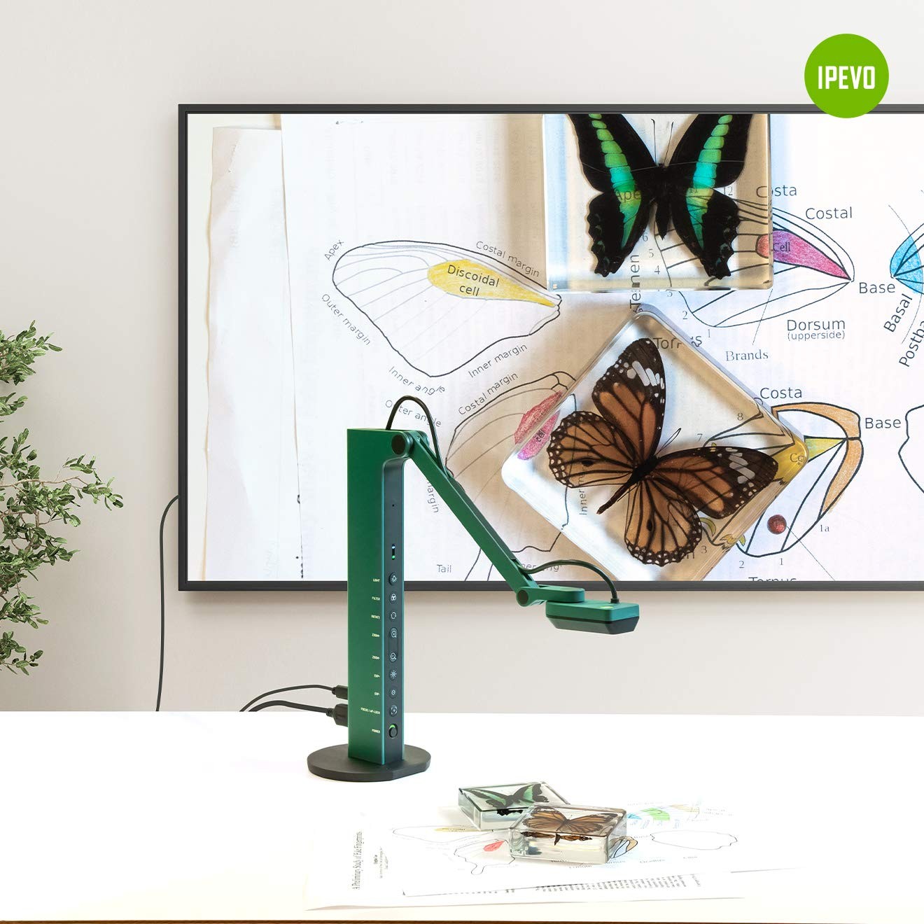 IPEVO VZ-R HDMI/USB Dual Mode 8MP Visual Communication Tool