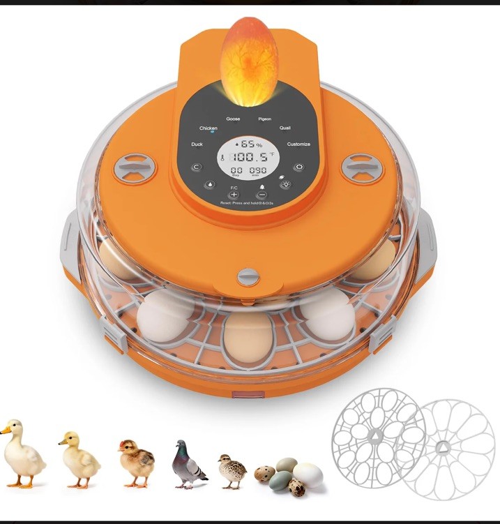 Incubators for Hatching Eggs,15 Egg Incubator with Automatic Egg Turner,Temperat