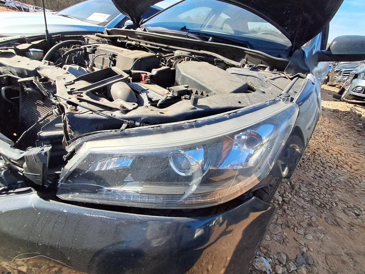 ACCORD 2014 Glove Box 4869843