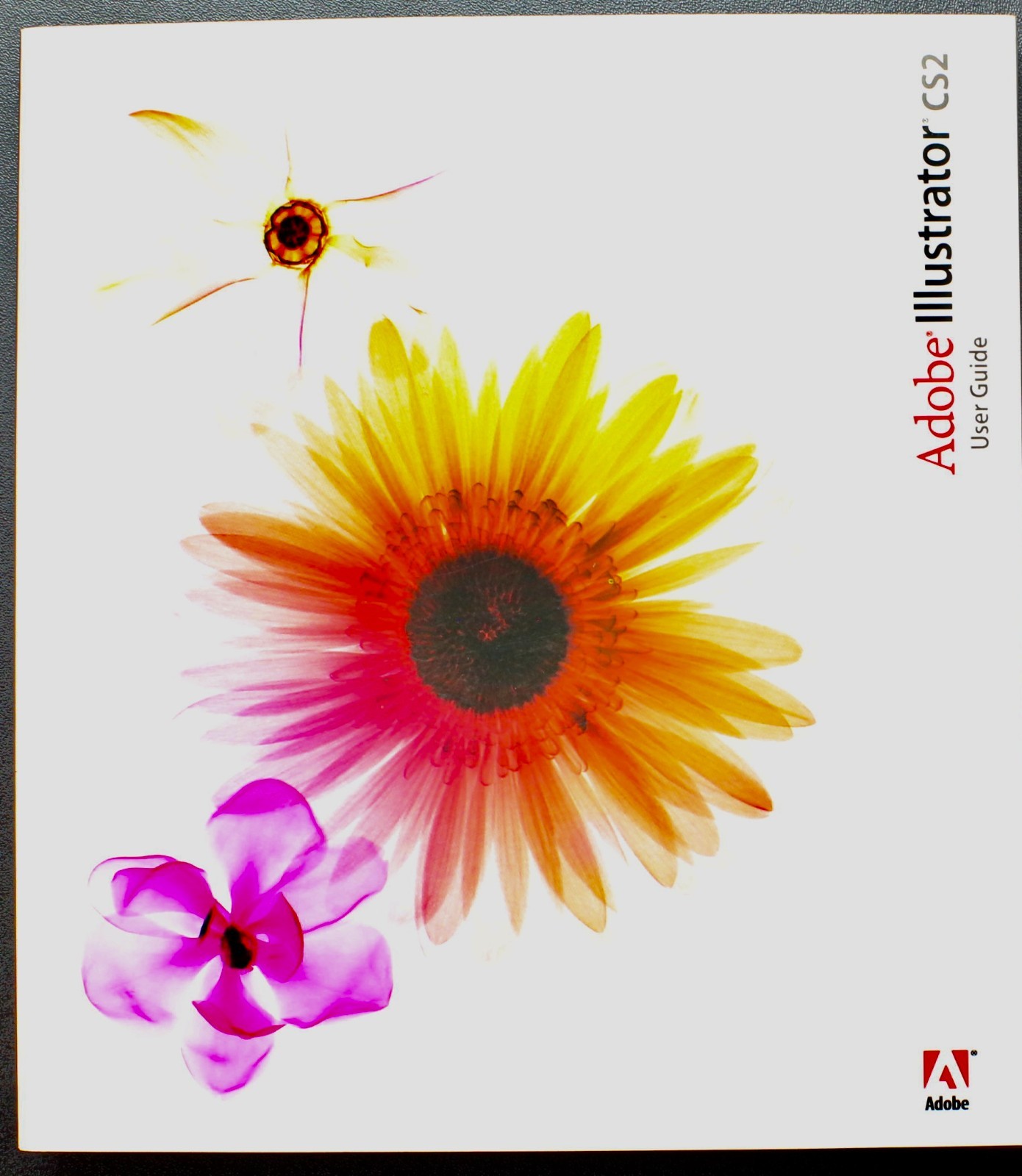 Adobe Illustrator CS2 User Guide (Paperback)