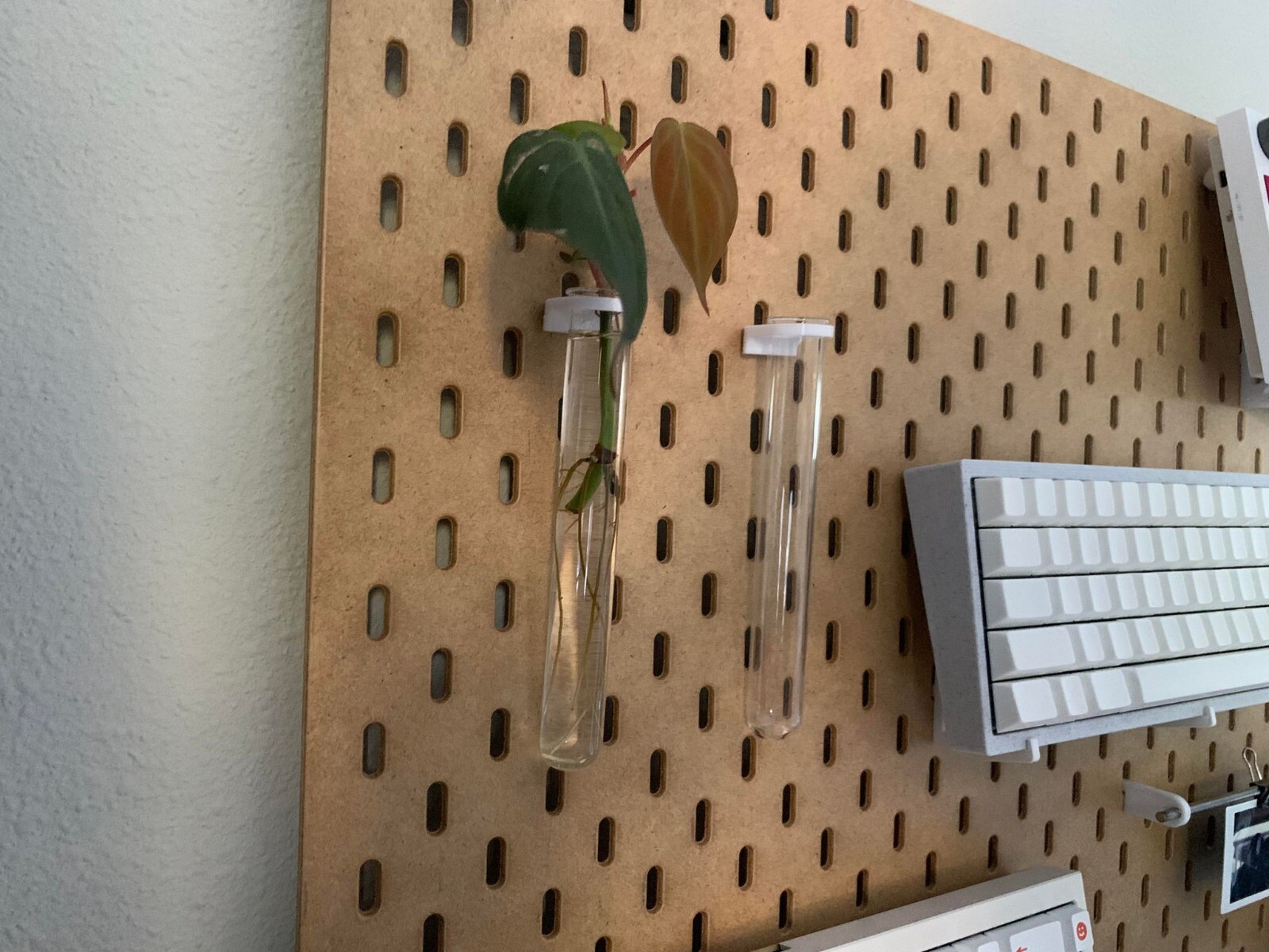 SKADIS | 2 Pack | Glass Vial Propagation Plant Hanger Pegboard Display