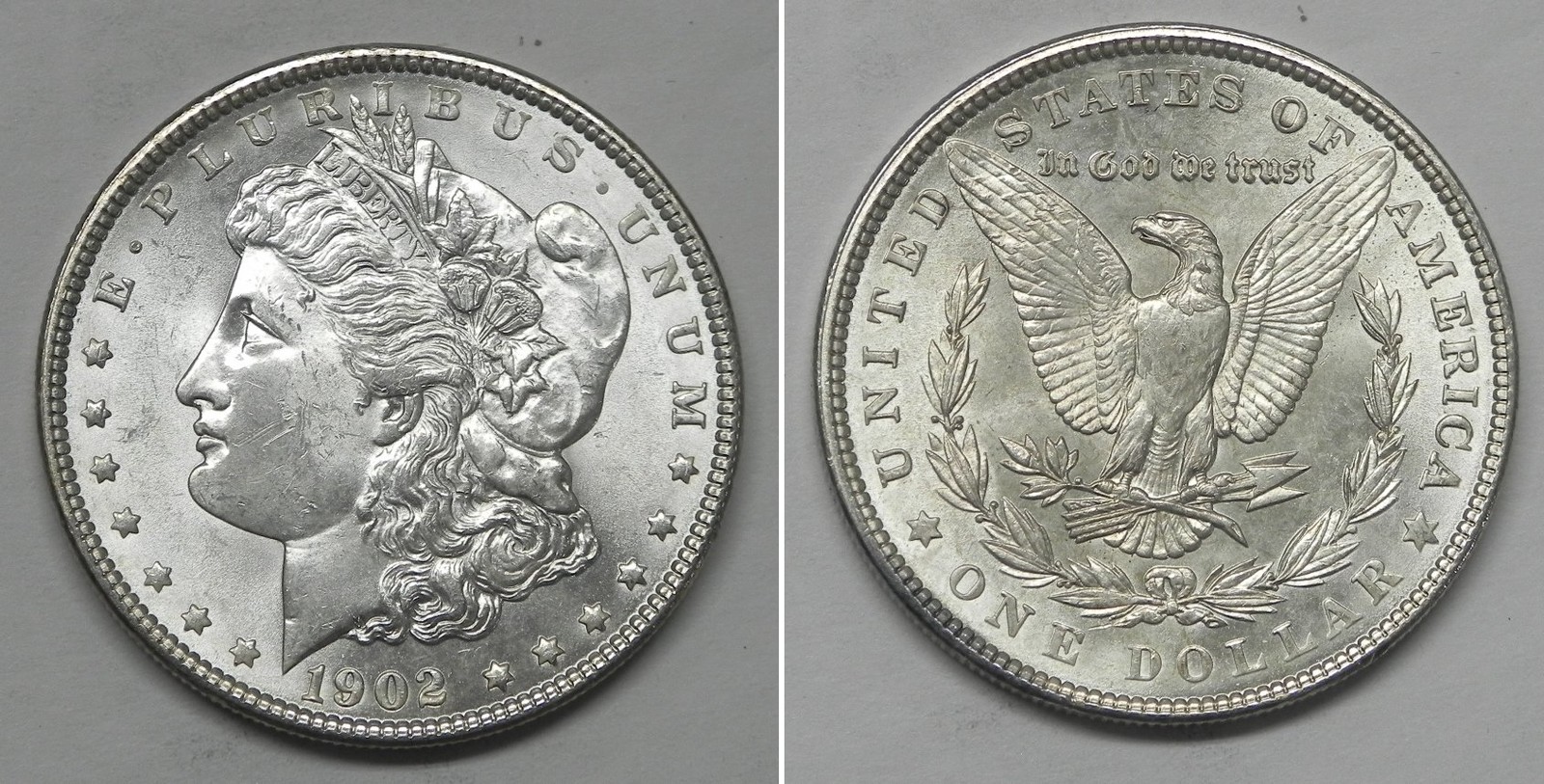 X7423  1902 Morgan Dollar, Choice BU