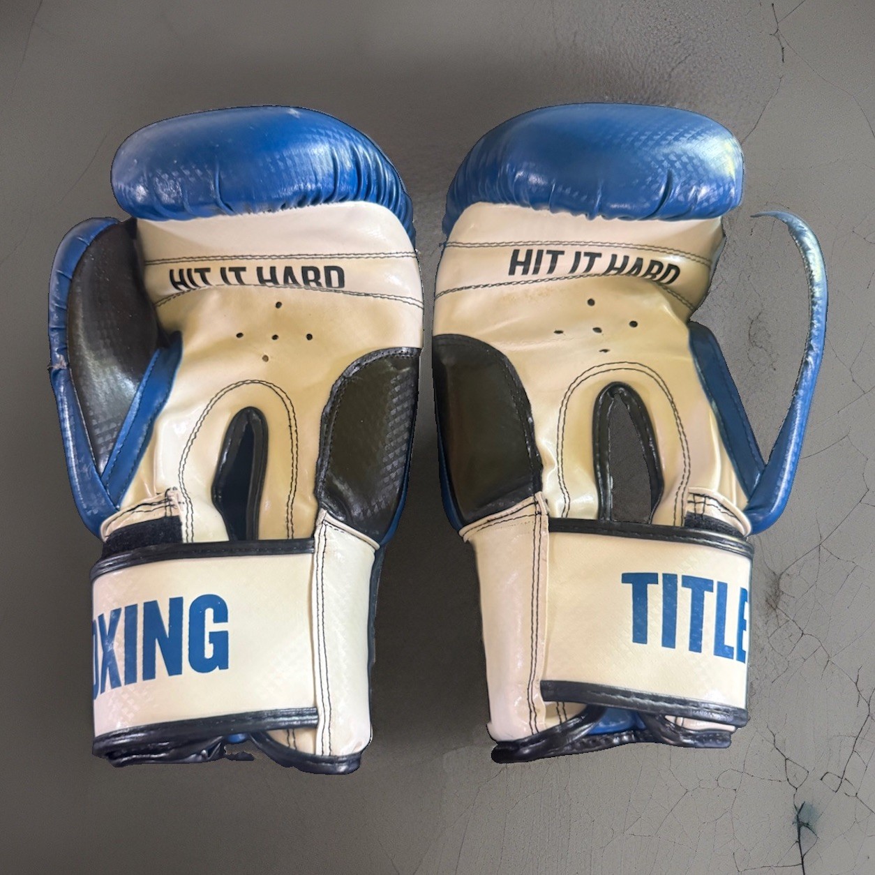 Title Boxing Hook & Loop Genuine Boxing Gloves Blue White 12 Oz Classic