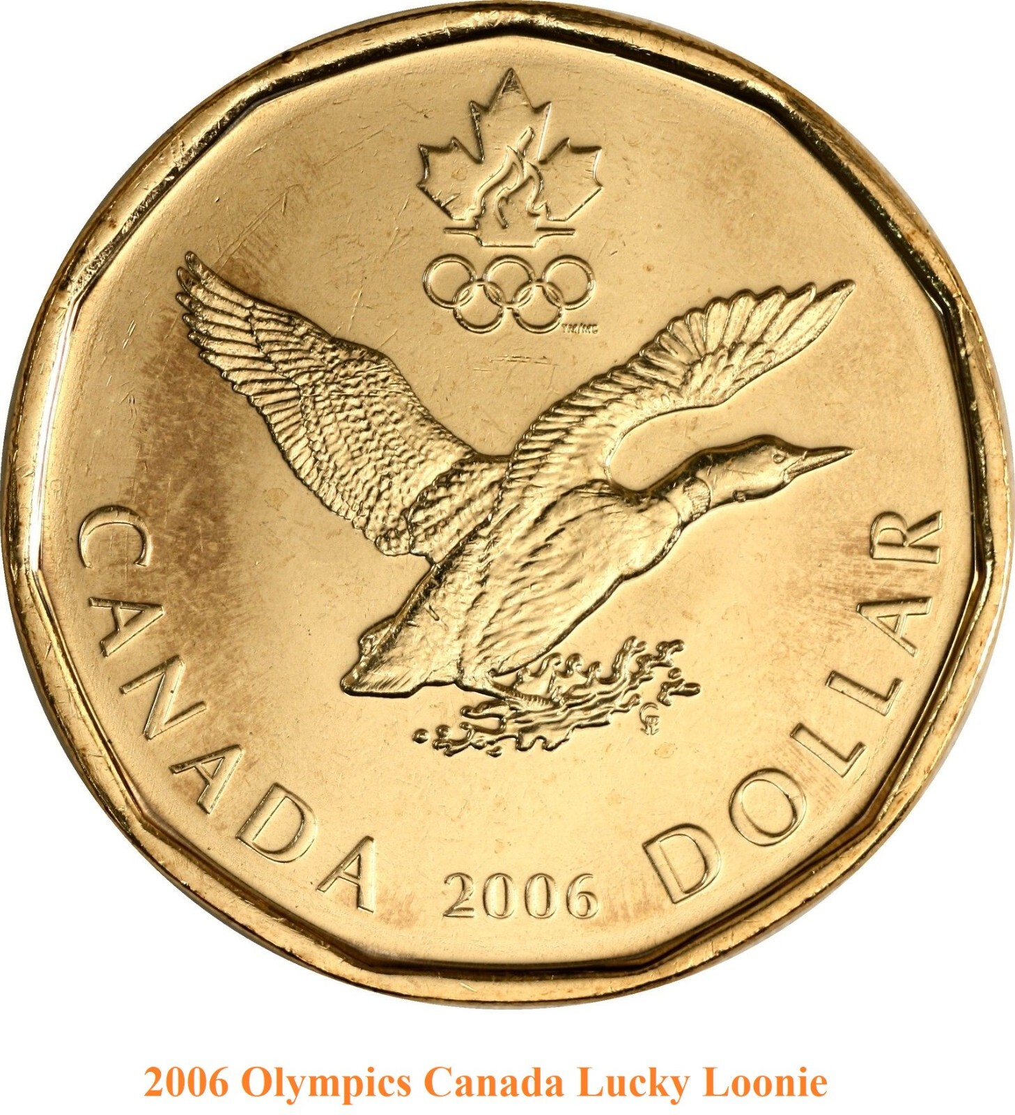 2006 Canada Olympics Lucky Loonie Coin. UNC. One Dollar $1 Loon