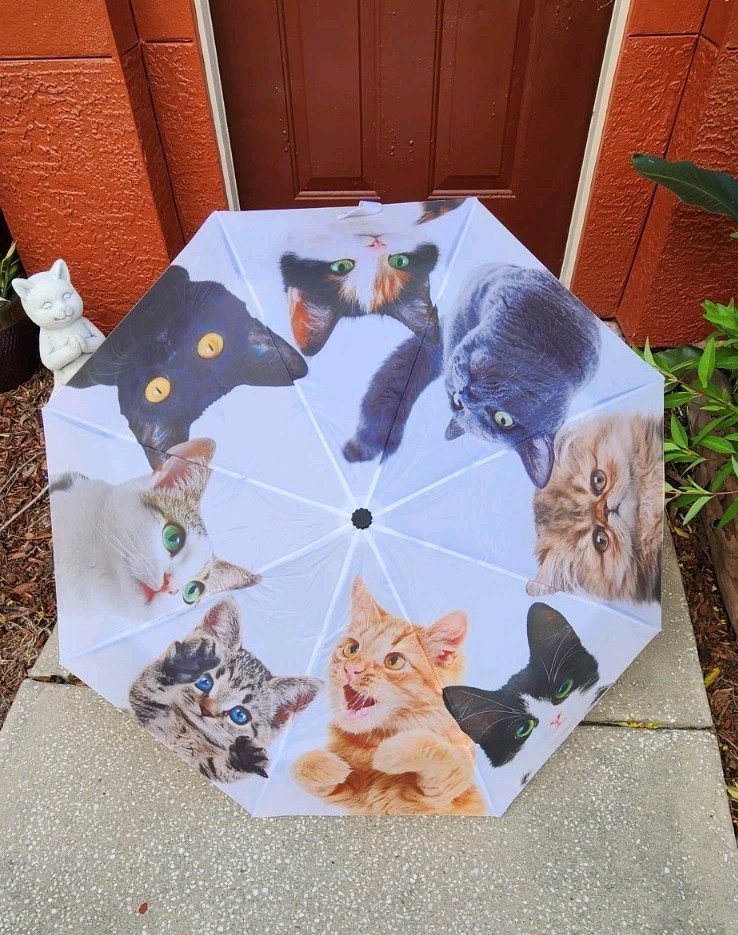 Cat Umbrella By Cat Lady Box