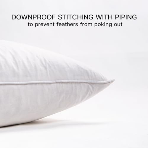 14"x24" Pillow Inserts Soft Feather Pillow Set of 2 14×24inches（Pack of 2）