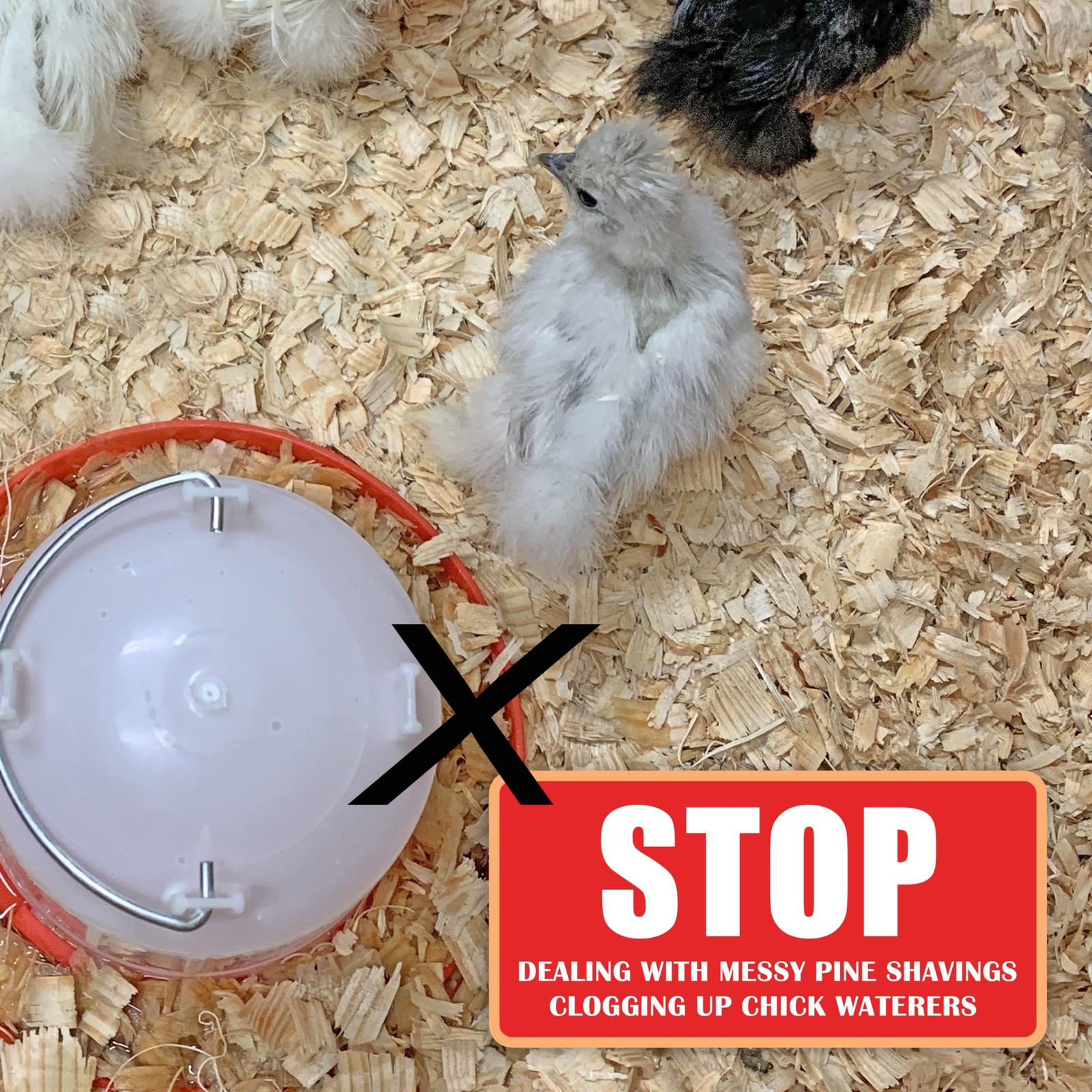 Chick Brooder Pads - 25 Pack for Easy Clean and Comfort