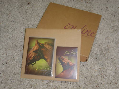 Parelli Patterns - On Line Patterns - NATURAL HORSEMANSHIP EQUINE TRAINING NICE