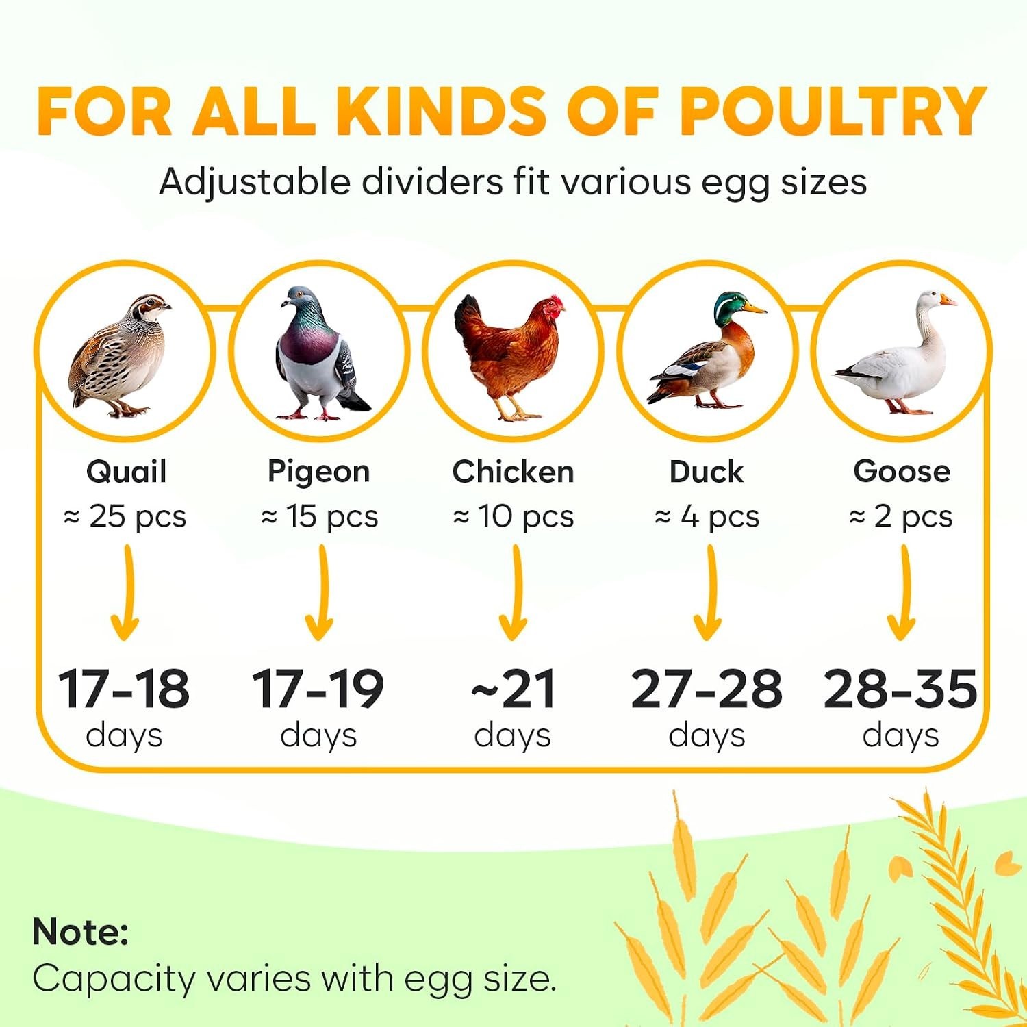 Okkobi M12 Automatic Egg Incubator with Humidity Control - 12/24 Eggs Capacity