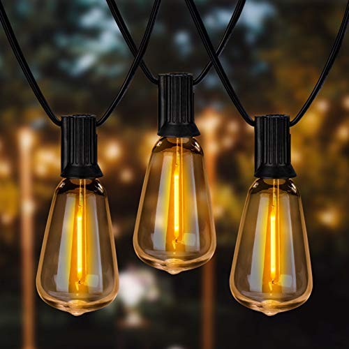 Outdoor String Lights 30ft with 25+2 Spare LED Filament Bulbs, Dimmable