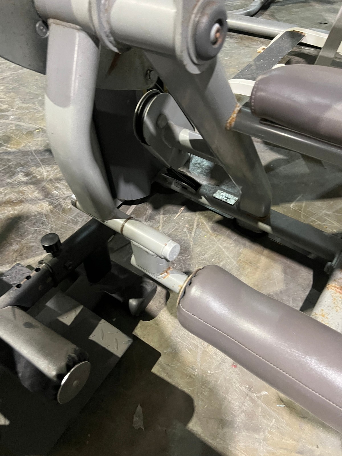 Paramount Leg Extension/ Leg Curl Combo - Used