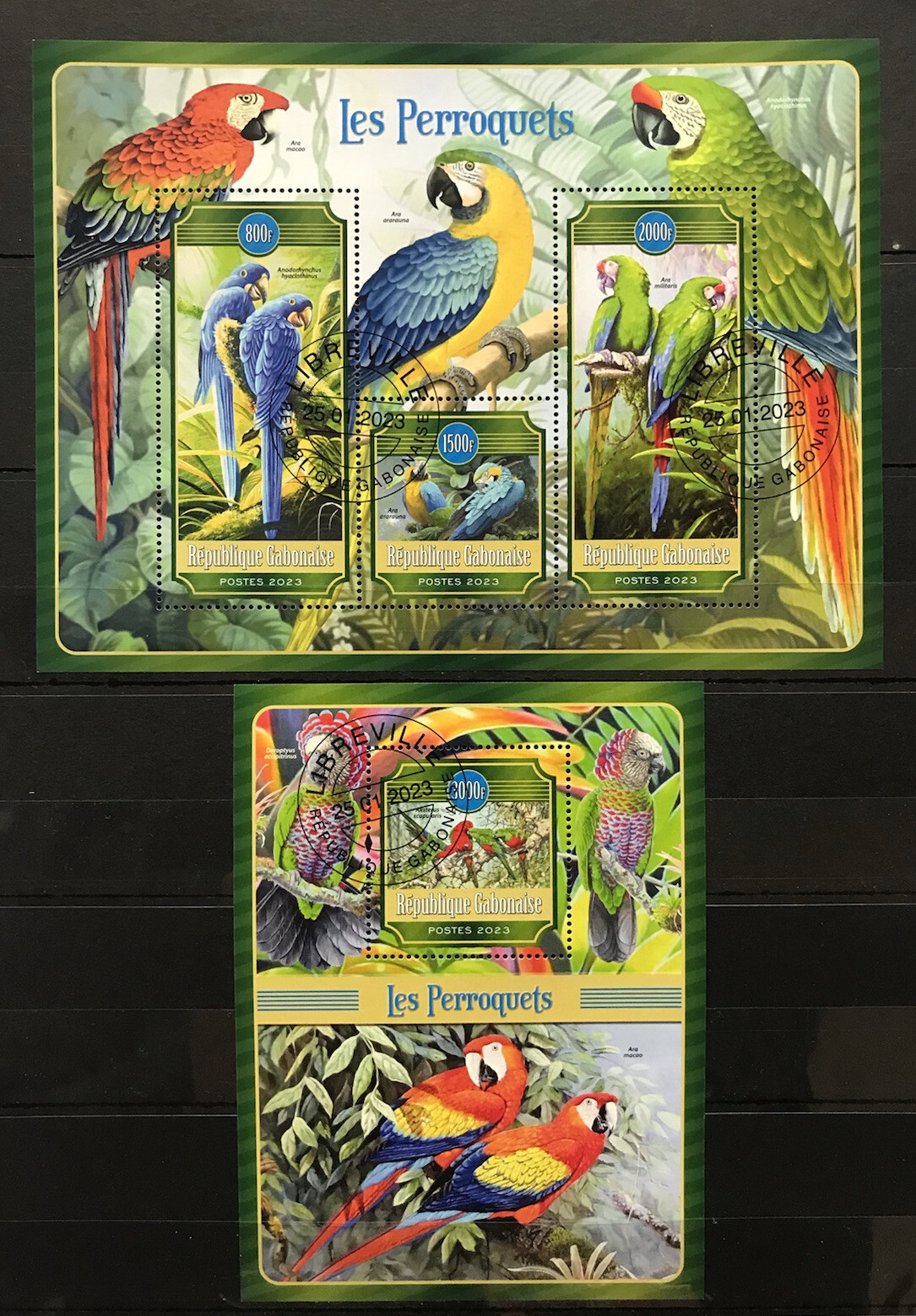 Parrots / Birds / Pappagalli / Loros / Perroquets / Fauna - CTO / P2-2