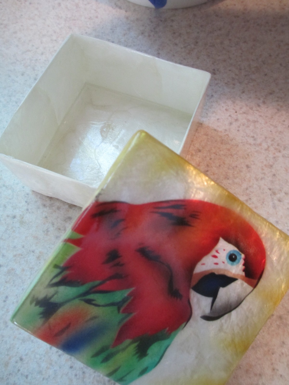 1711* RED MACAW ~ CAPIZ SHELL TRINKET BOX