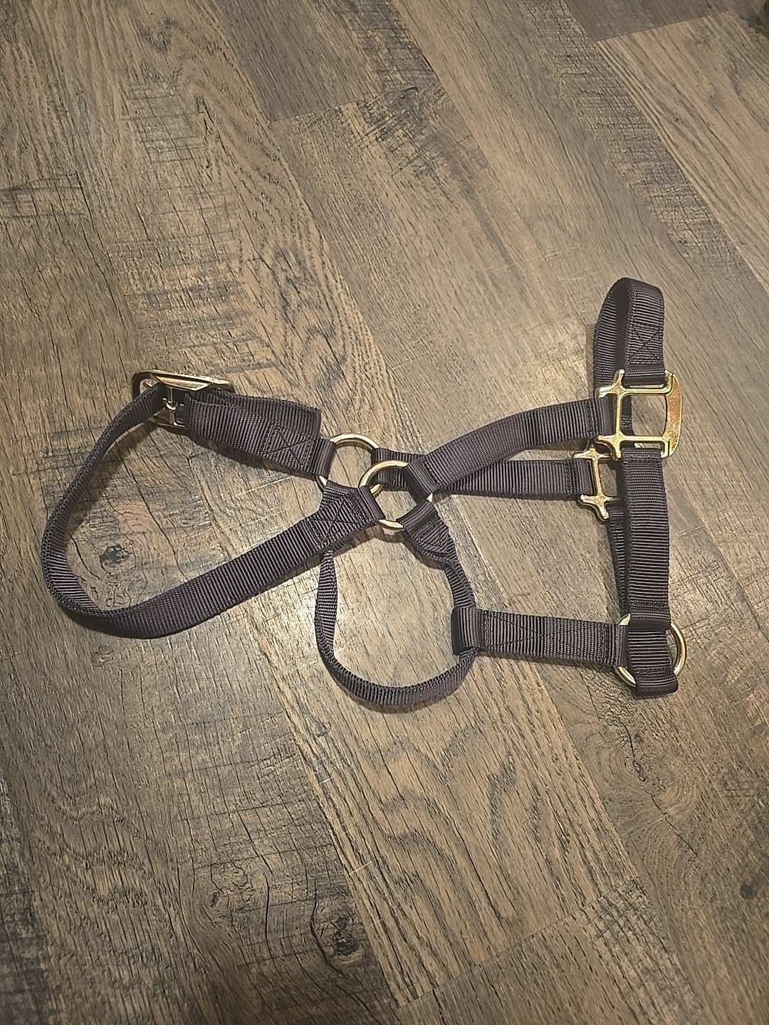 halter