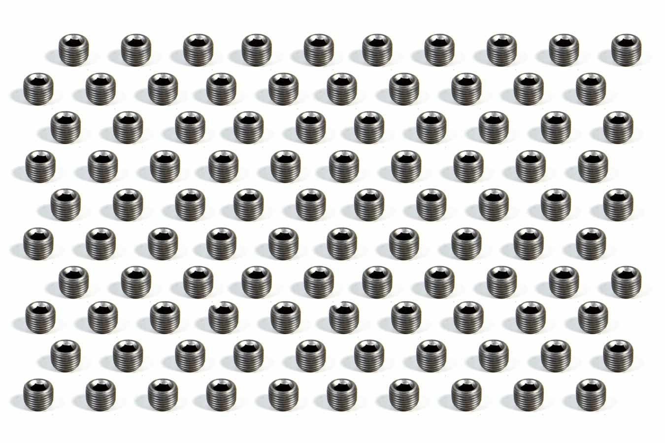 PIONEER PP-638-100 Pipe Plug - 1/8 (100)