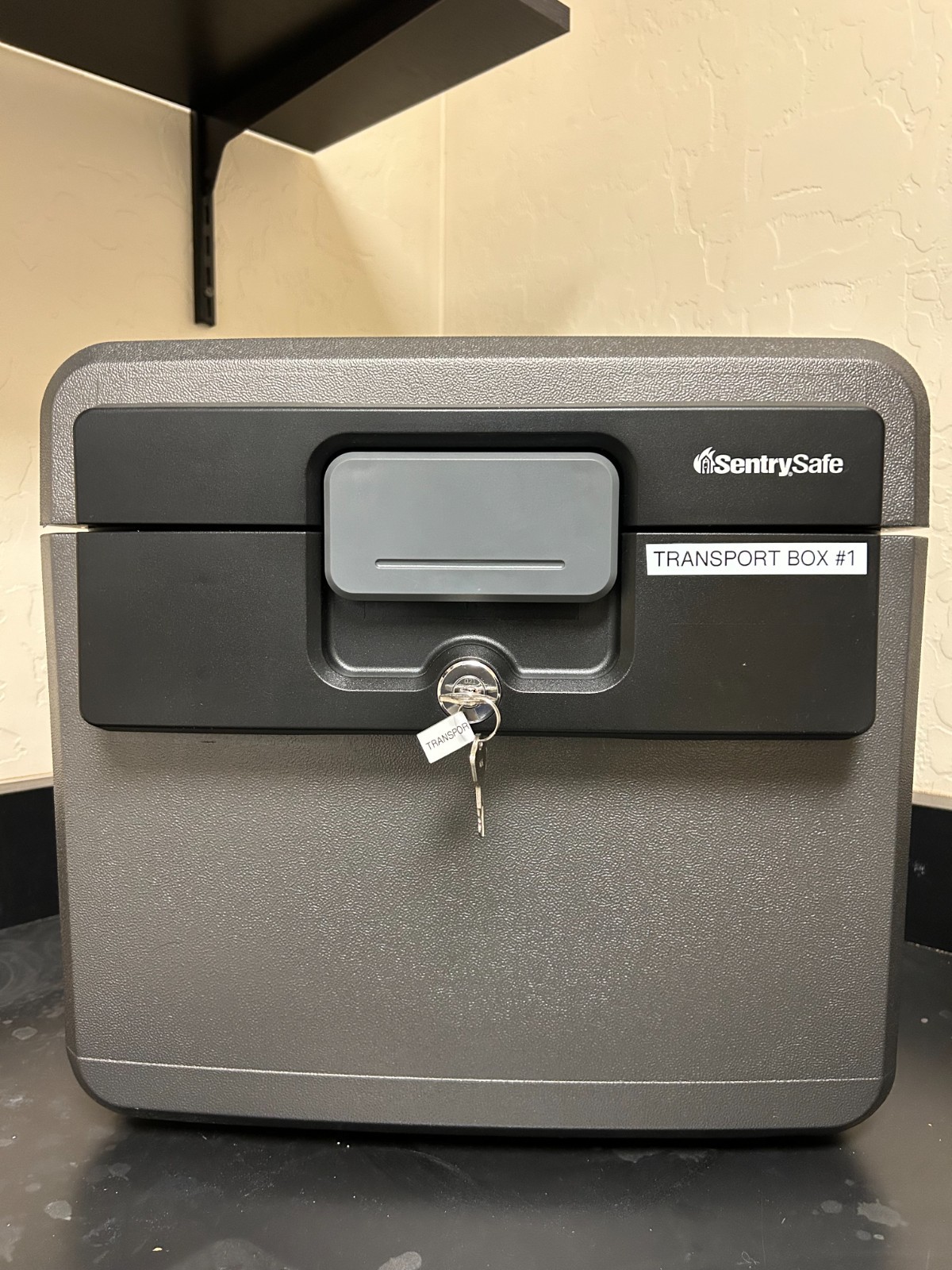 SentrySafe Black Fireproof and Waterproof Safe
