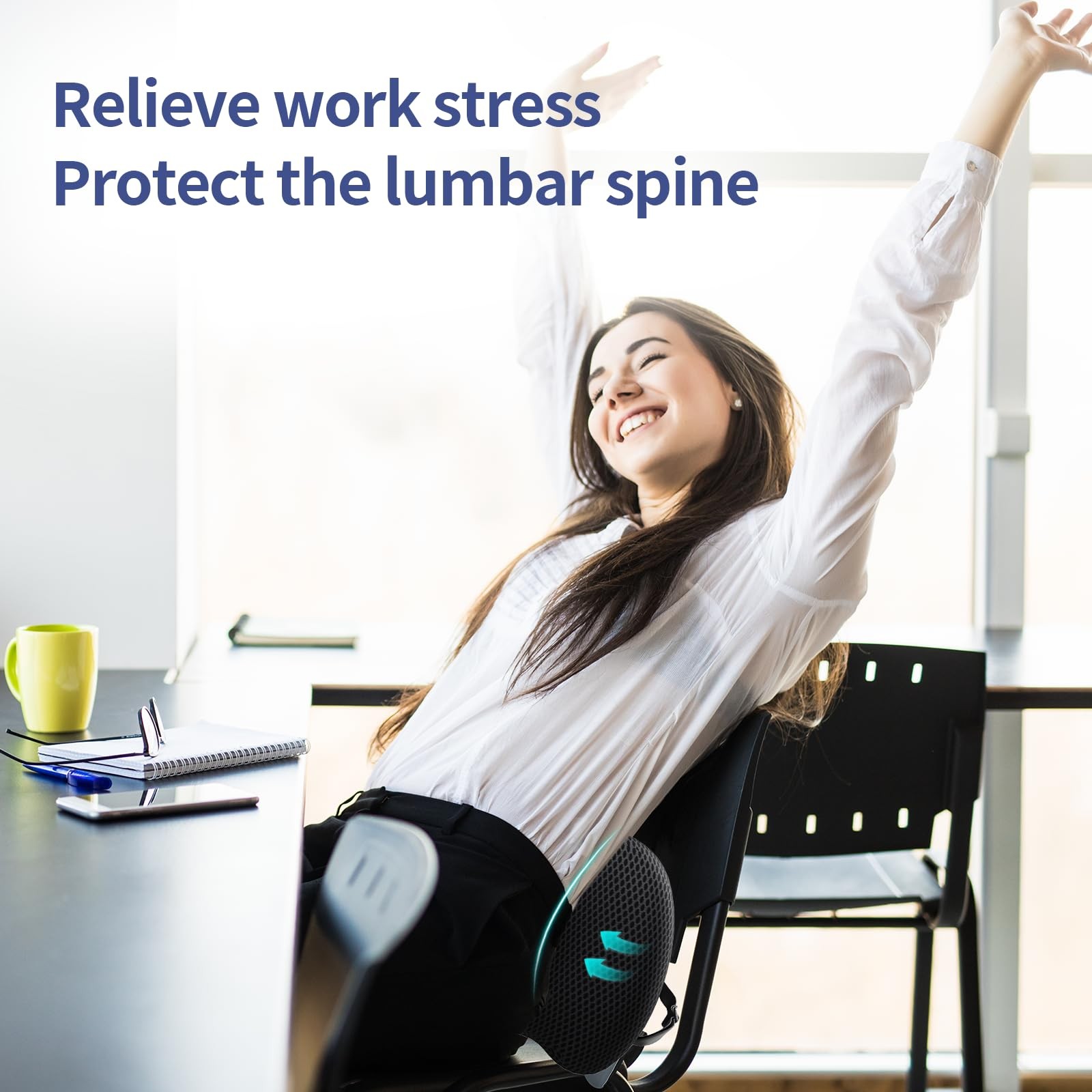 Lumbar Support Pillow for Office Chair, Car Lower Back Black