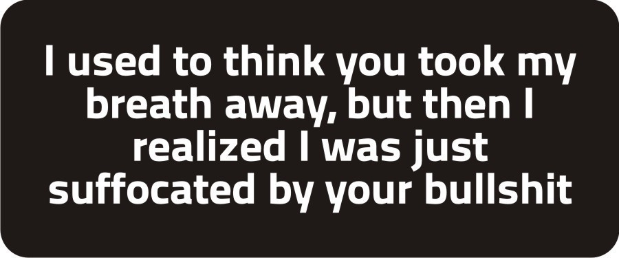 3 - You Took My Breath Away Hard Hat Biker Helmet Sticker Bs269