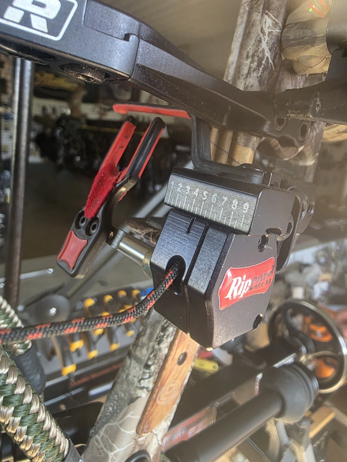 Elite Kure