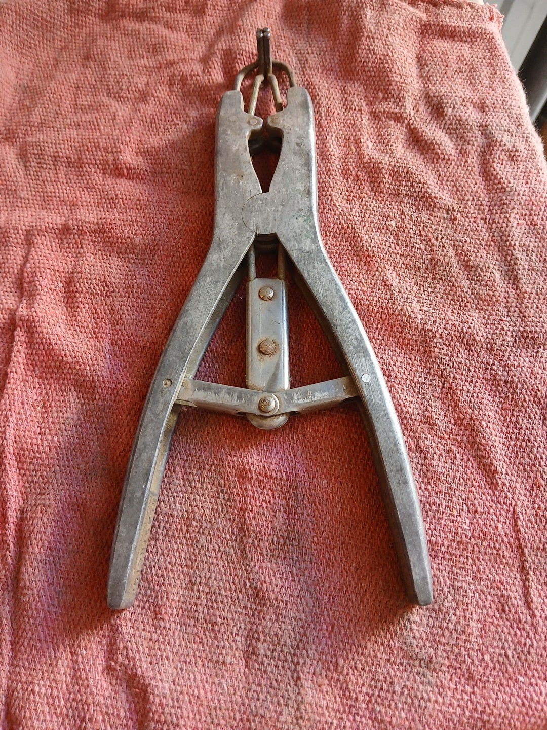 Vintage Elastrator Castration Docking Tool Aluminum Spring Pliers Made In USA