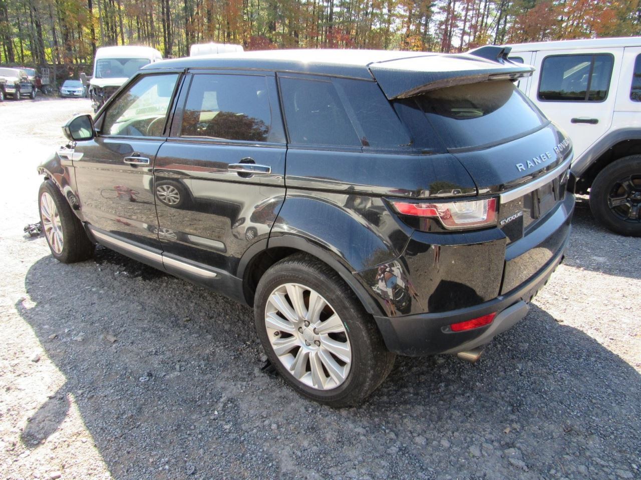 EVOQUE 2016 Glove Box 999334