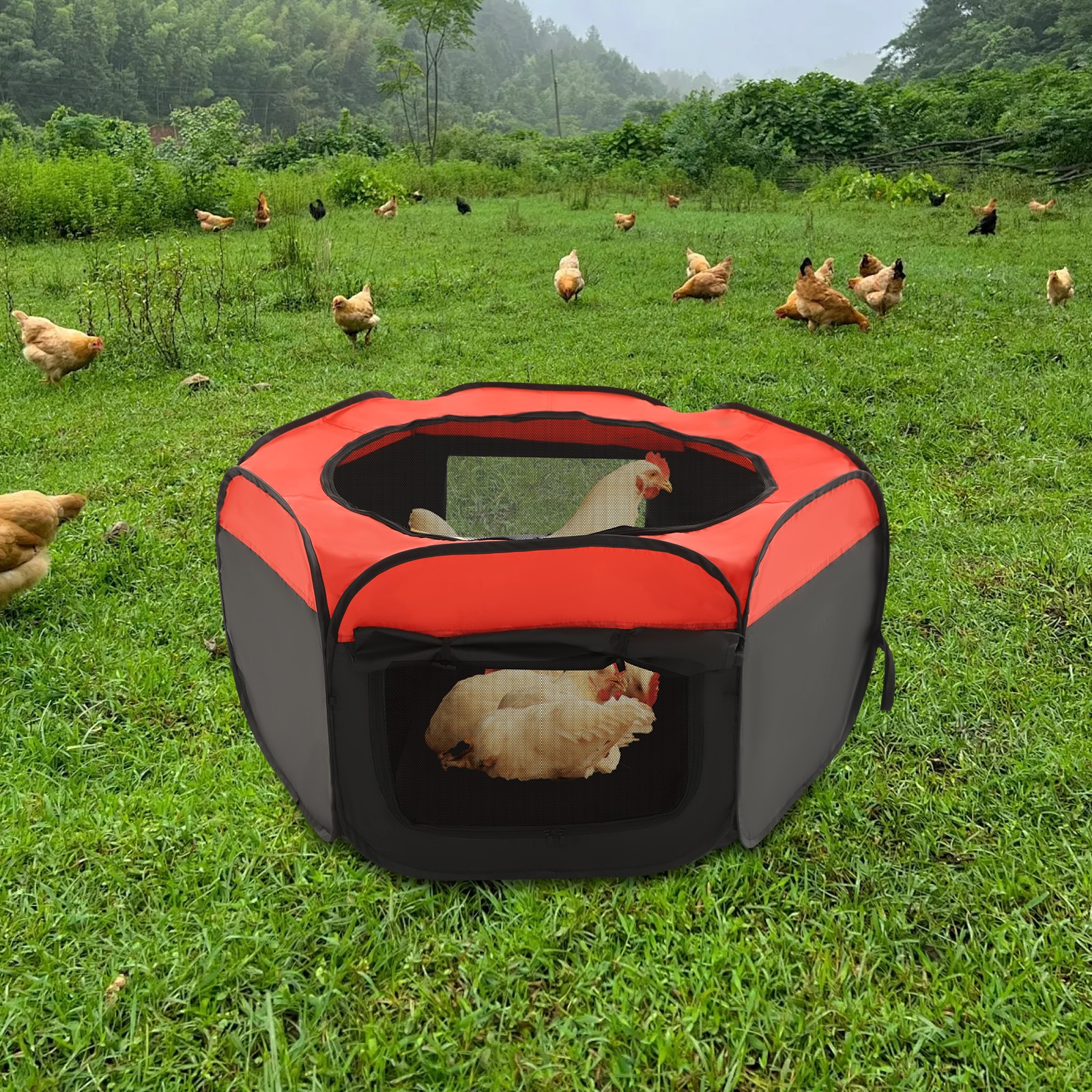 Foldable Brooder Box for Chick,25-Chick Fence Portable Playpen Cage with Pad