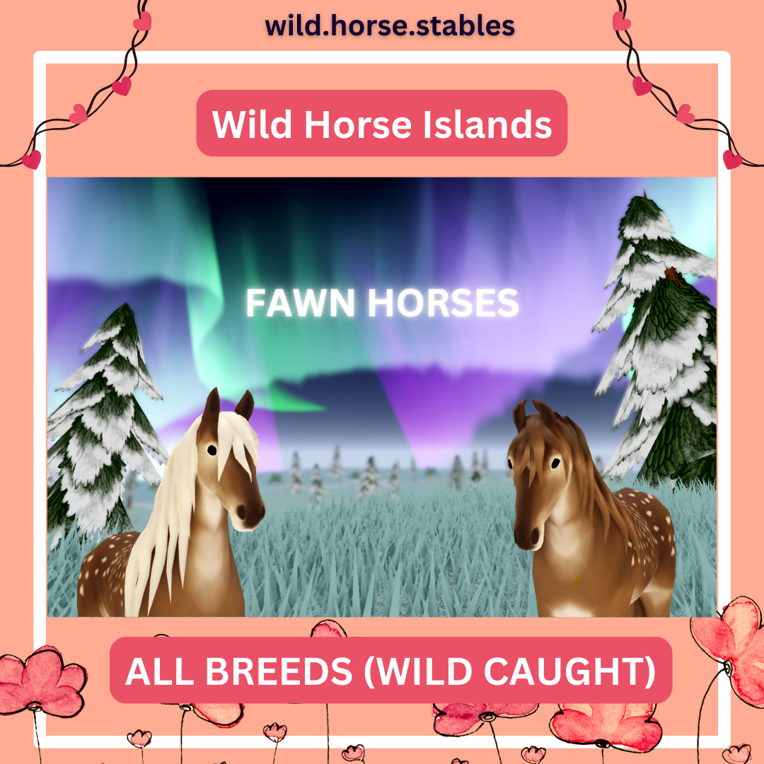 Wild Horse Islands - Fawn Horses Wild Caught (All Breeds)