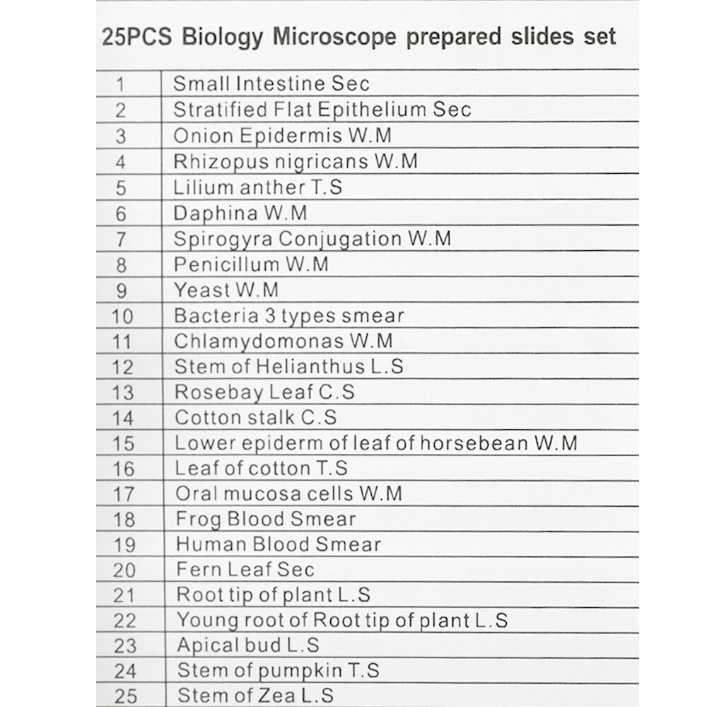25PCS/Set Biological Glass Sample Prepared Basic Animal Plants Insects T5D9