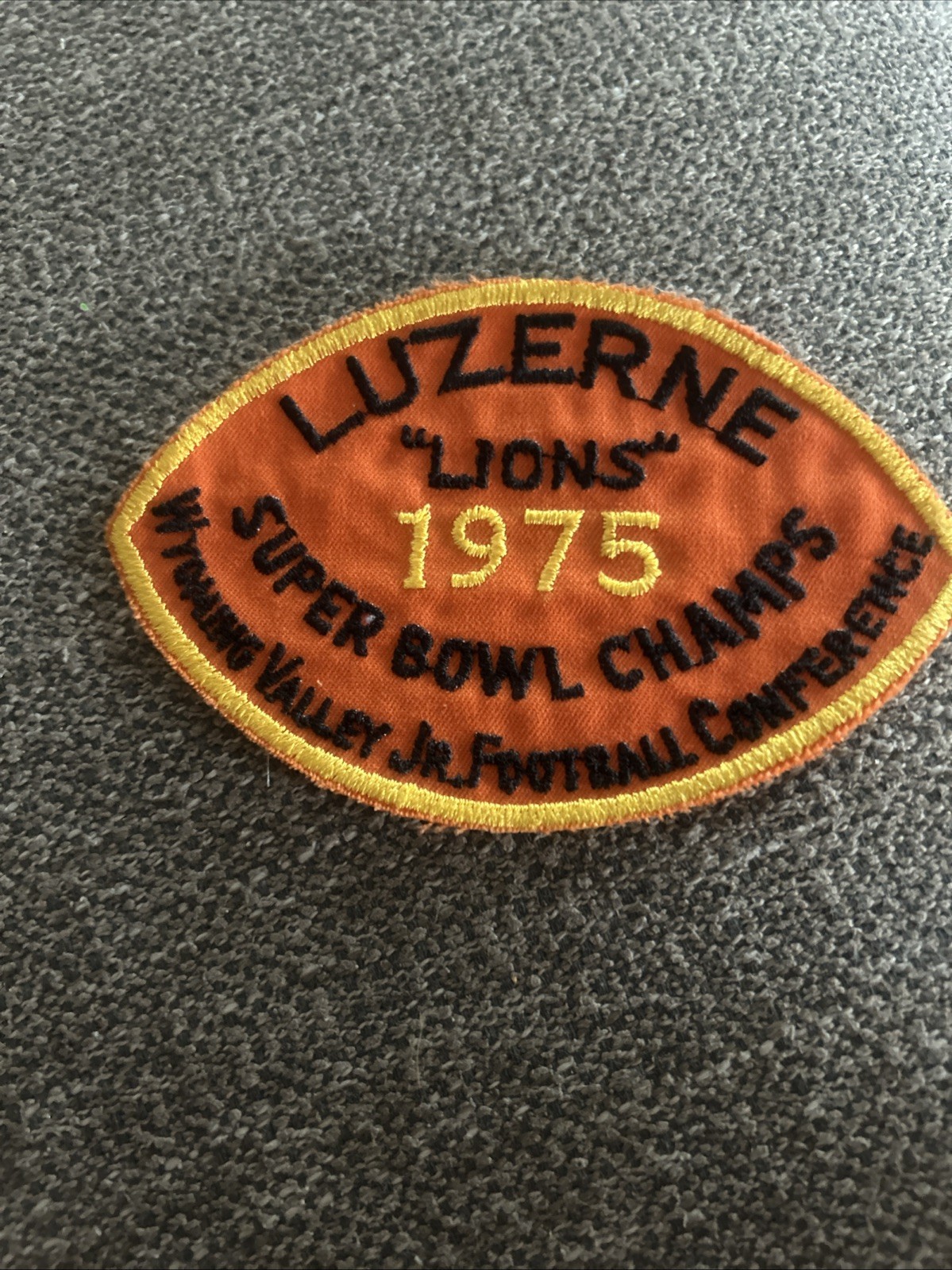 Vintage Luzerne Lions 1975 Super Bowl Champions Patch Youth Football