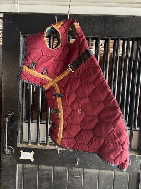 Big D Outdoor Horse Hood, Medium Weight