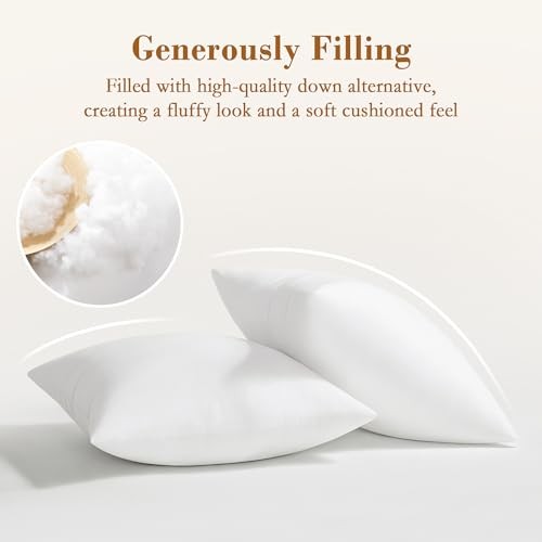 xPillow Inserts Pack Down Alternative Square Form Sham Stuffer, 22x22 Inch 2