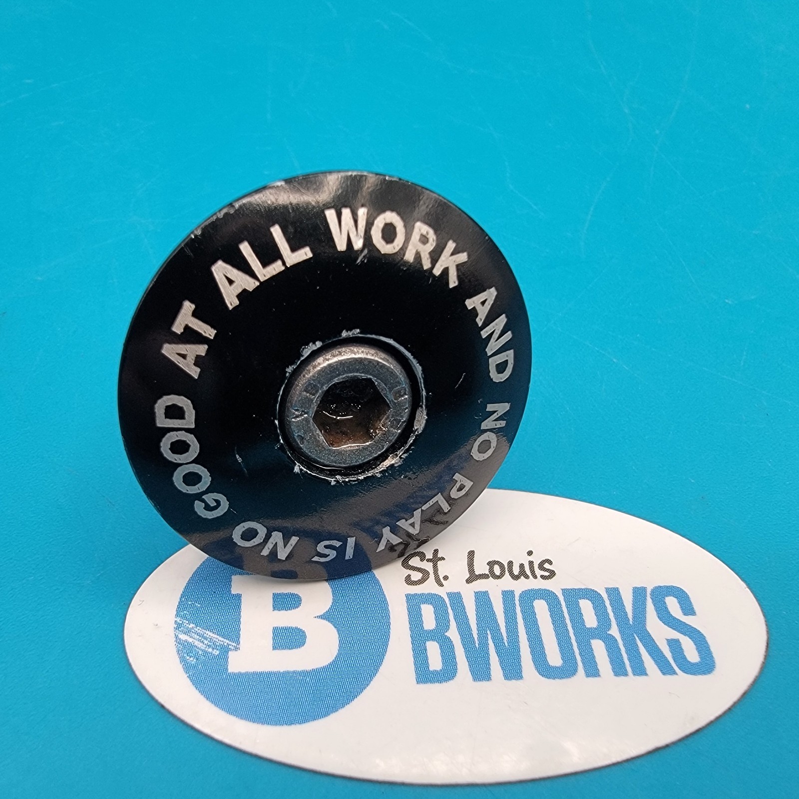 Vintage Gary Fisher Headset Cap - 'All Work And No Play Is No Fun at All'  e4