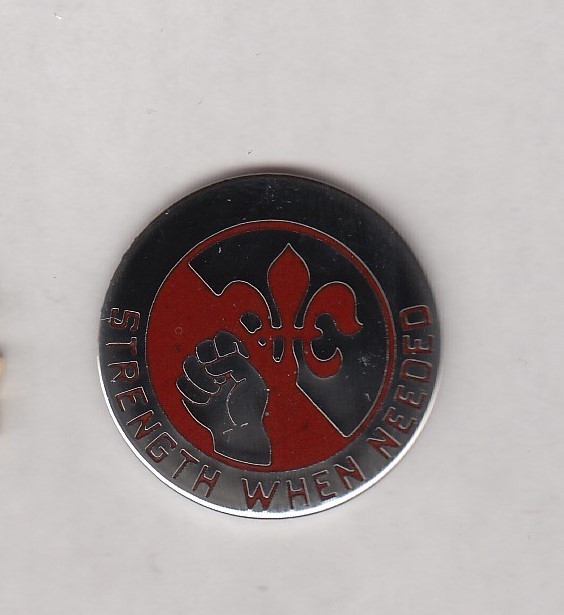 US ARMY MEDICAL 249th MEDICAL GROUP crest DUI badge c/b G-23