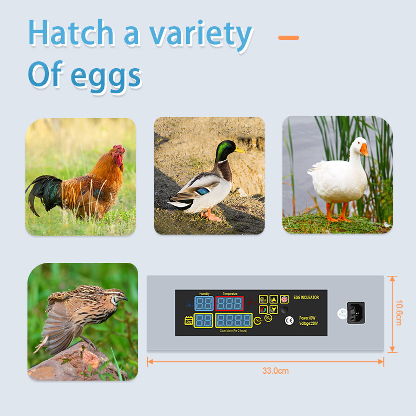 US Plug 110V Egg Incubator Automatic Hatcher DIY Poultry Hatching Machine ym