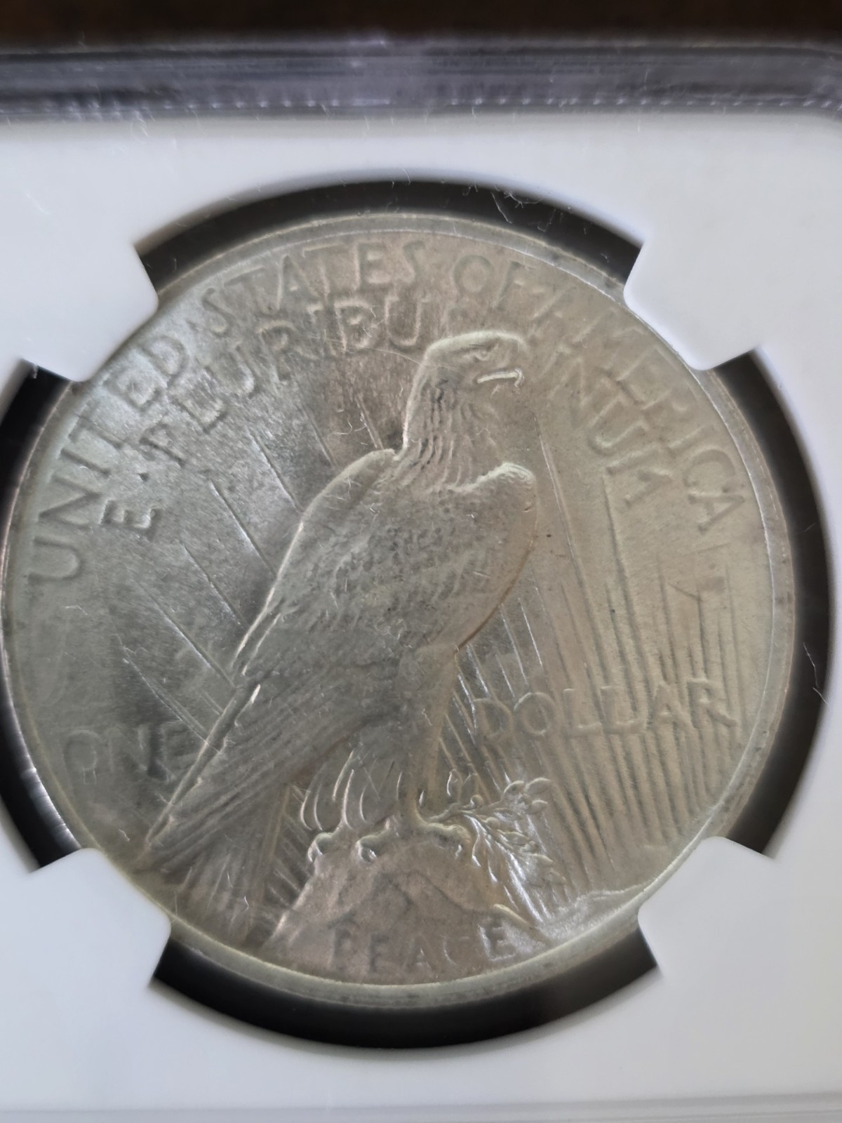 1924 $1 Peace Dollar NGC MS63 Bag Fragment