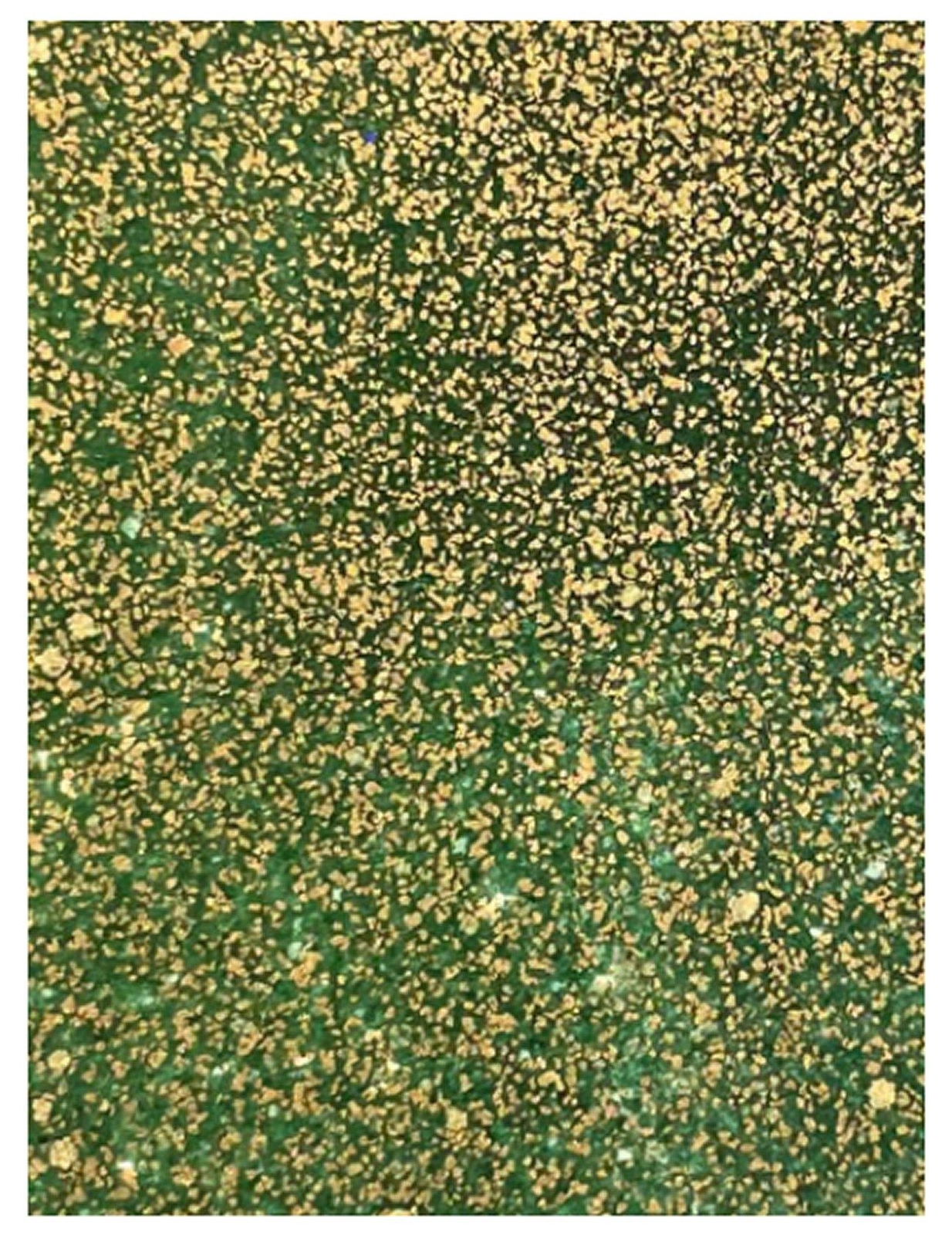 Wow! Glitter Embossing Glitter 15ml | ROYAL EMERALD
