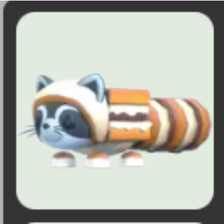 S'mores Raccoon /Neon /Mega | Adopt Now