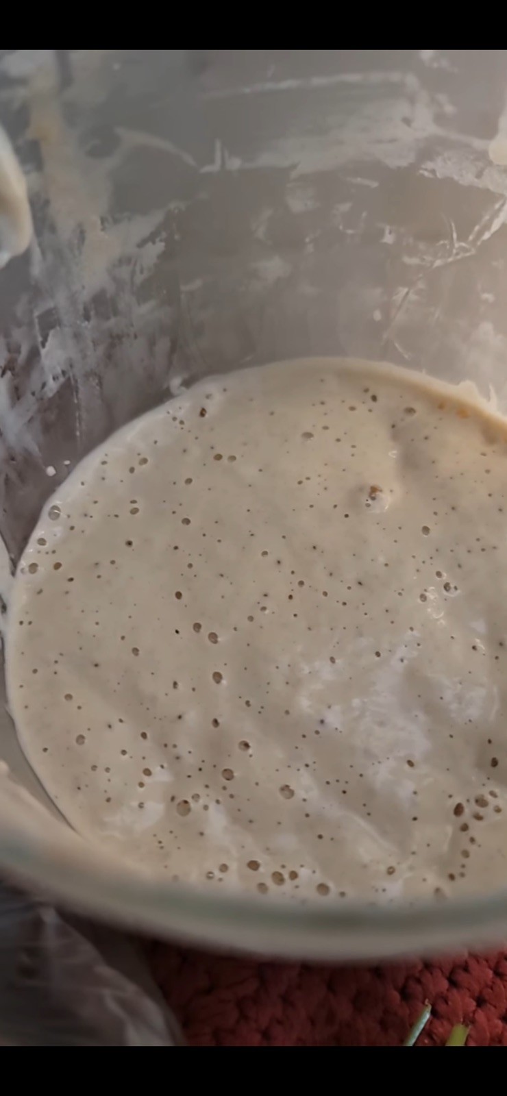Infinity Dehydrated Sourdough