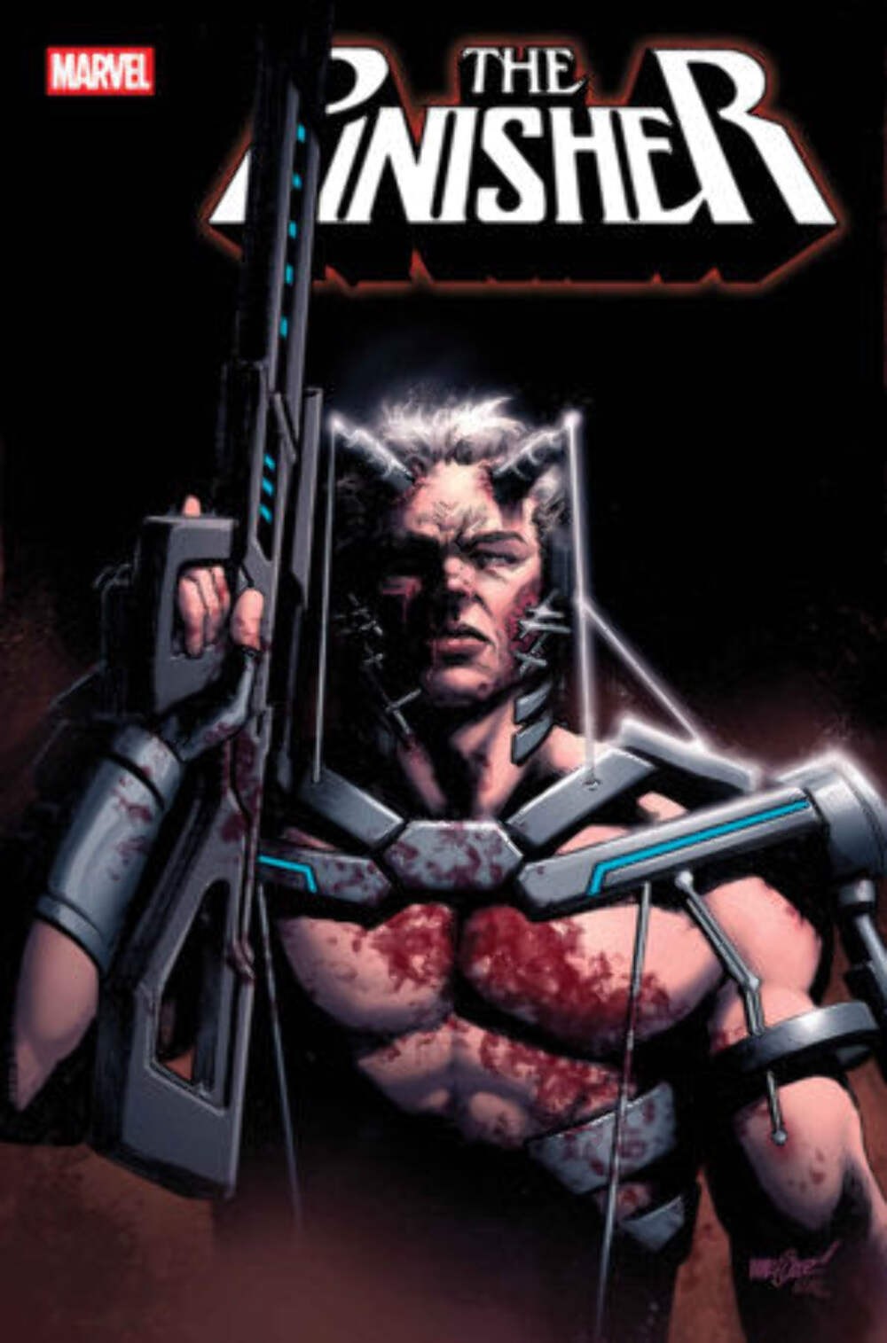 PUNISHER #7 (Limit 2 Per Cover) (rel:08/12)