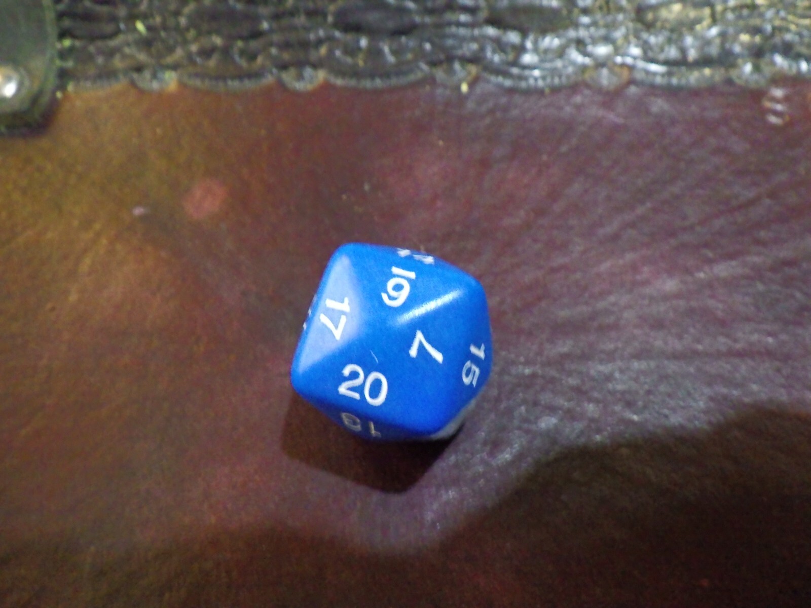 24-Sided Blue Polyhedral Die D24 Gaming RPG Tabletop Board Card CCG Game Dice