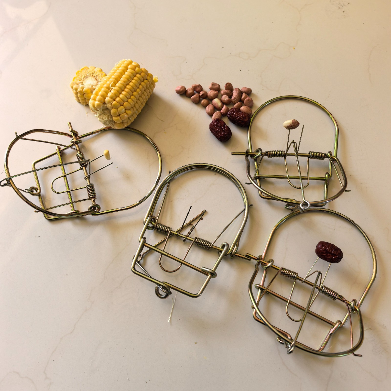 Lot 4 New Spring Traps Raccoon Mukrat Mink Nuisance Trapping Rat Mouse
