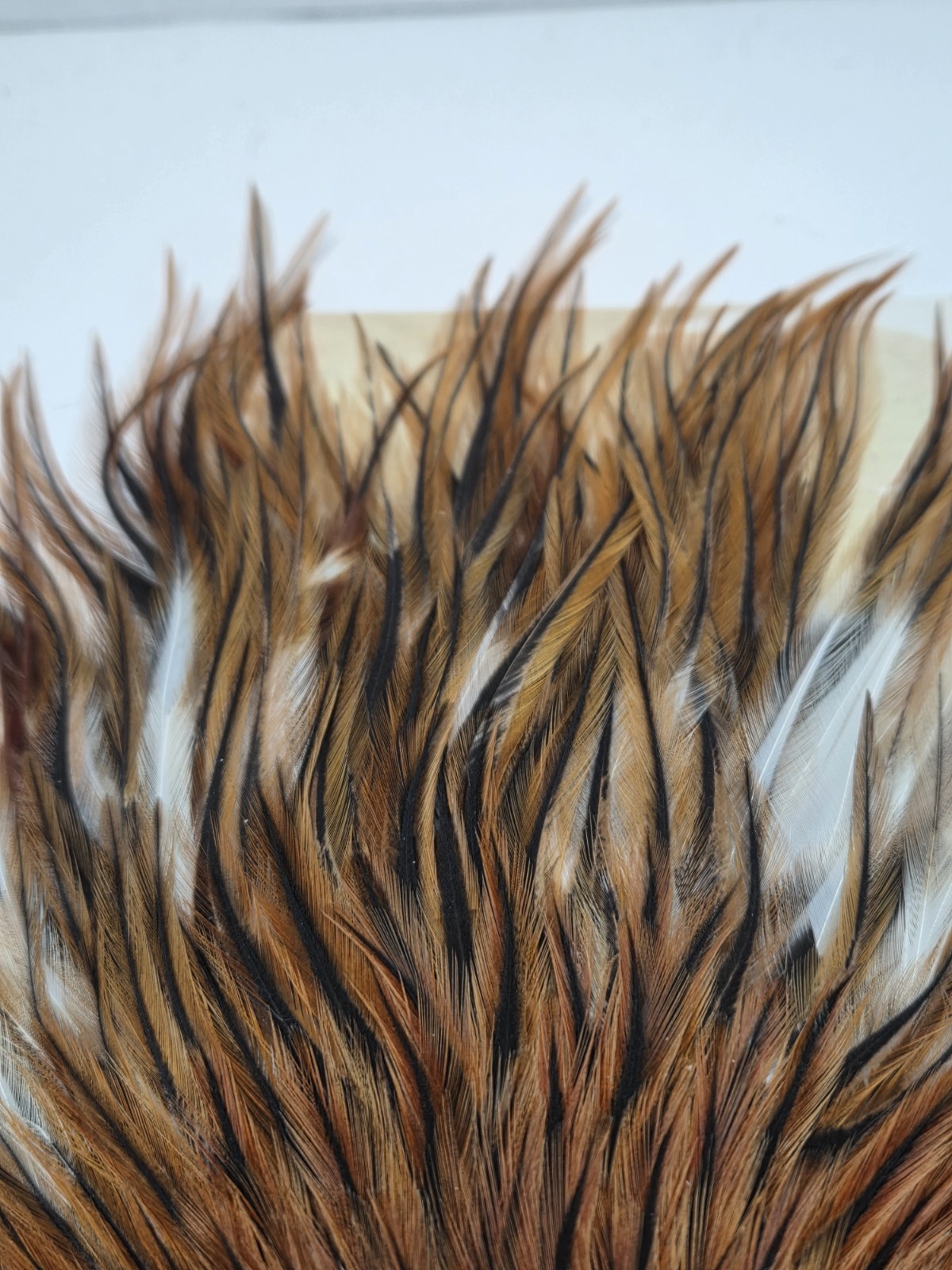 METZ Furnace Saddle Hackles Feathers Fly Tying Materials