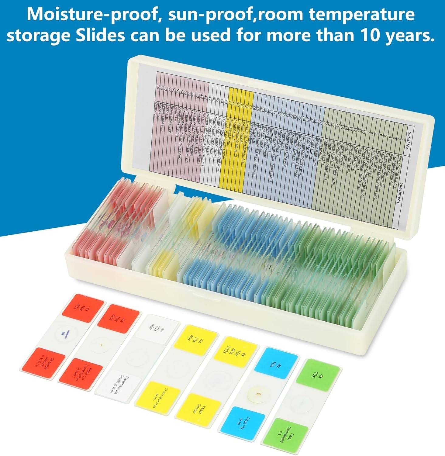 Diverse 60-Piece Microscope Slides Set for Kids - Perfect for Science Learning