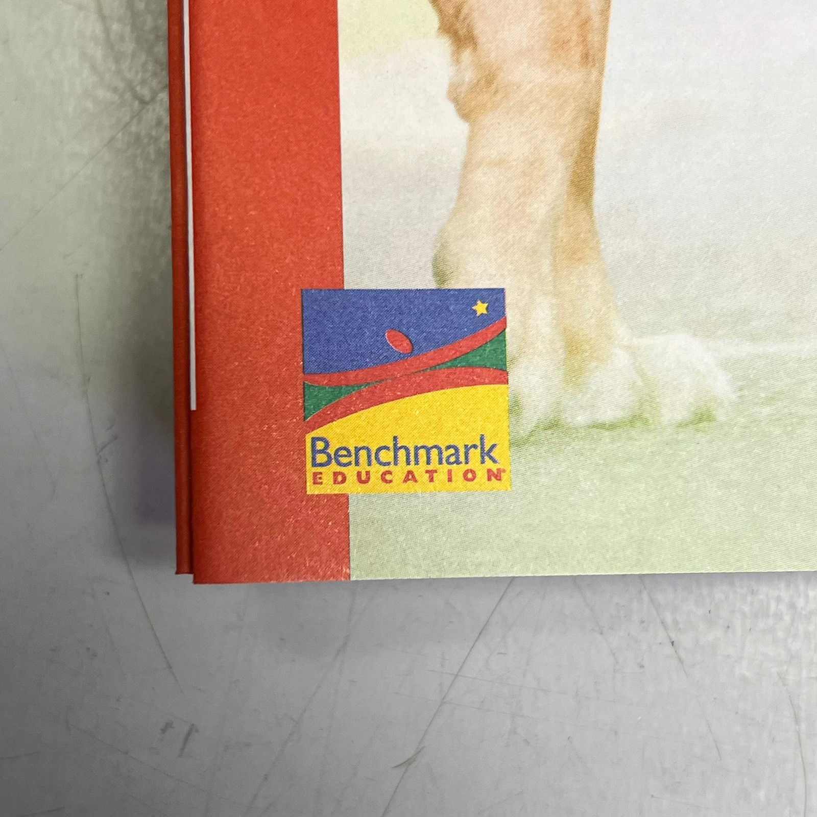 BENCHMARK EDUCATION (10 SET) Multiple Learning Point Books Grade 4 Spanish Editi