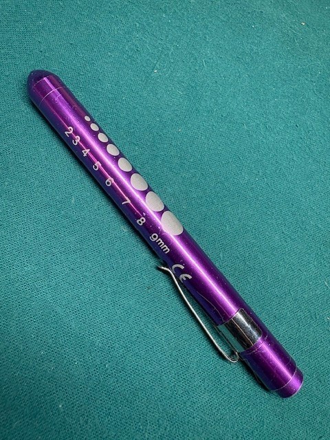 Led Aluminum Pen light w/ Pupil Gauge